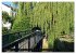 Bad Oldesloe 2026 (hochwertiger Premium... - Bild 7