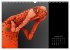 Fotogalerie Fotogalerie
