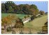 Der Hainich in Thüringen -... - Bild 4
