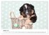 Baby Pfoten (Wandkalender 2026 DIN A2... - Bild 7