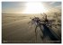 Einzigartiges Spiekeroog (Wandkalender... - Bild 9