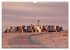 Einzigartiges Spiekeroog (Wandkalender... - Bild 13