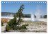 Farben des Yellowstone National Park... - Bild 7