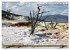 Farben des Yellowstone National Park... - Bild 9