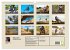 Motocross - Adrenalin pur (Wandkalender... - Bild 6