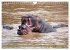Wildes Kenia (Wandkalender 2026 DIN A4... - Bild 11
