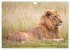 Wildes Kenia (Wandkalender 2026 DIN A4... - Bild 14