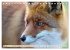 Fuchs - schlauer Räuber (Tischkalender... - Bild 13