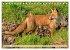 Fuchs - schlauer Räuber (Tischkalender... - Bild 3