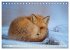 Fuchs - schlauer Räuber (Tischkalender... - Bild 7