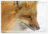 Fuchs - schlauer Räuber (Tischkalender... - Bild 8