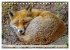 Fuchs - schlauer Räuber (Tischkalender... - Bild 10