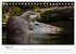 Otter - Jäger an Flüssen und Seen... - Bild 14