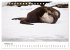 Otter - Jäger an Flüssen und Seen... - Bild 8