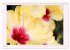 Wunderschöne Malven (Tischkalender... - Bild 12