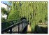 Bad Oldesloe 2026 (Tischkalender 2026... - Bild 8