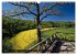 Kulturlandschaft Obere Donau... - Bild 10