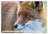 Fuchs - schlauer Räuber (hochwertiger... - Bild 12