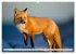 Fuchs - schlauer Räuber (hochwertiger... - Bild 8