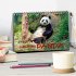 Niedlicher Panda (Tischkalender 2026... - Bild 2