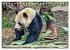 Niedlicher Panda (Tischkalender 2026... - Bild 15