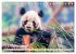 Niedlicher Panda (Tischkalender 2026... - Bild 5