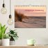Einzigartiges Spiekeroog (Wandkalender... - Bild 2