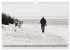 Einzigartiges Spiekeroog (Wandkalender... - Bild 8