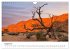 Bäume in Namibias Landschaften... - Bild 14