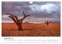 Bäume in Namibias Landschaften... - Bild 15