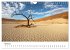 Bäume in Namibias Landschaften... - Bild 10