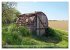 Der Hainich in Thüringen -... - Bild 11
