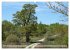 Der Hainich in Thüringen -... - Bild 13