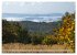 Der Hainich in Thüringen -... - Bild 14
