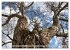 Der Hainich in Thüringen -... - Bild 6