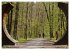 Der Hainich in Thüringen -... - Bild 9