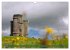 Herbe Schönheit Wales (Wandkalender... - Bild 9