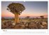 Bäume in Namibias Landschaften... - Bild 11