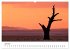 Bäume in Namibias Landschaften... - Bild 12
