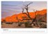 Bäume in Namibias Landschaften... - Bild 14