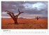 Bäume in Namibias Landschaften... - Bild 15