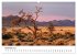 Bäume in Namibias Landschaften... - Bild 4