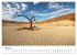 Bäume in Namibias Landschaften... - Bild 10