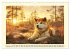 Akita Inu in der Natur. Japans edle und... - Bild 5