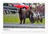 Braunbären in Alaska (Wandkalender... - Bild 15