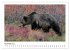 Braunbären in Alaska (Wandkalender... - Bild 4