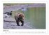 Braunbären in Alaska (Wandkalender... - Bild 7