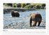 Braunbären in Alaska (Wandkalender... - Bild 9
