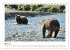 Braunbären in Alaska (Tischkalender... - Bild 9