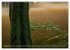 Spaziergang im Wald (Wandkalender 2026... - Bild 14